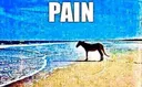 PAIN
