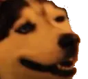 DogHappy