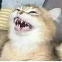 kekeke
