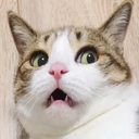 z_sl_emoji_107 Discord emoji