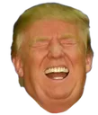 trump_lmao