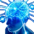 bigbrain