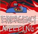 emergencymeeting