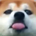 mlm