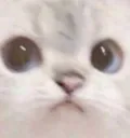 nalistare