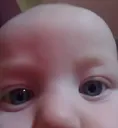 pigsalothead2 pigsalothead2