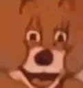Jerrywtf