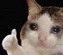 cryingthumbsup