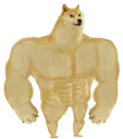 strongdoge