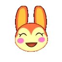 laughhahabunny