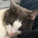 lostsleepy lostsleepy