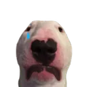 WalterSad WalterSad