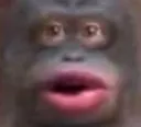monke