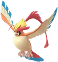 raidmegapidgeot