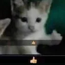 thumbsup