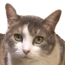 rory_stare rory_stare