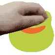 FrogPet2