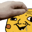 PikaPet