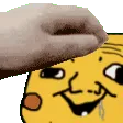 PikaPet