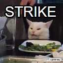 Strike_Cat