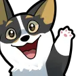 corgihi