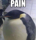 pain Discord emoji