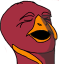 hokiegasm Discord emoji