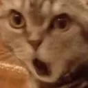 pogcat