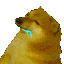 dogestab Discord Emoji