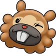 bidoofWink