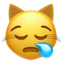 Sleepy Cat Discord Emoji