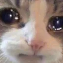 374_sad