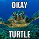 OkayTurtle