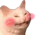 catblushed