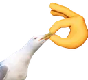 shut