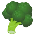 broccoli4