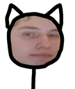 pav