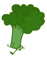 broccoli6 broccoli6