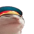 catto