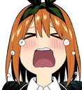 YotsubaCry Discord Emoji