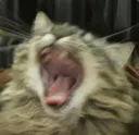 AHHH