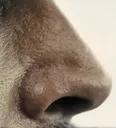 TheSniff