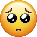 pleading