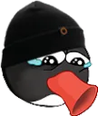 sadnoot sadnoot