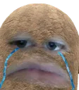 SadPotato SadPotato