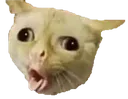 coughcat2 Discord Emoji