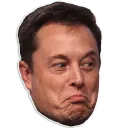 elonapprove