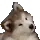 confuseddog