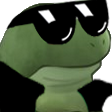 stwhelping_coolFrog Discord emoji
