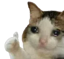 sadcatthumbs